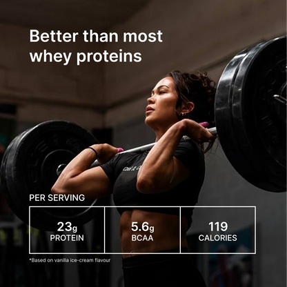 Whey Protein